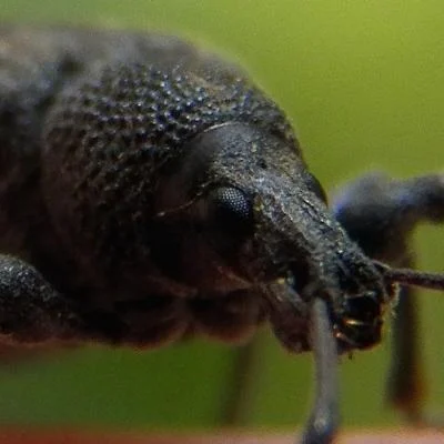 barkandbog nature photography's avatar