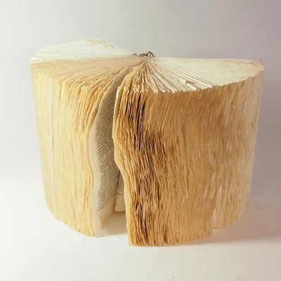 Disreputable_Craftsman's avatar